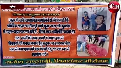 बीमार गाय की सहायता को गए नगर पालिका कर्मियों पर गौ रक्षक दल का हमला
