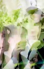 Che vầy đảm bảo không ai thấy/ Cách tàng hình của team Chữ Toàn Cơ