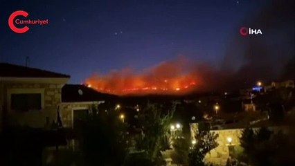 Foça'da orman yangını çıktı