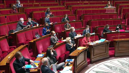 1ère séance : Projet de loi de finances pour 2021 (seconde partie) (suite) - Vendredi 6 novembre 2020