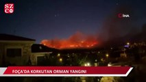 Foça'da orman yangını çıktı