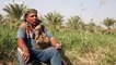 شاهد: "صاعود النخلة"... مهنة تراثية عراقية تواجه خطر الاندثار
