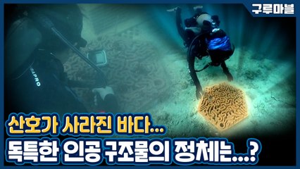 [구루마블] 성공률 100%?! 사라진 산호초를 되살리기 위한 비장의 무기 / YTN