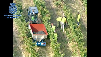 Policía detiene a dos personas en un operativo de la vendimia 2020