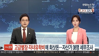 고급별장·자녀유학비에 회삿돈…자산가 38명 세무조사