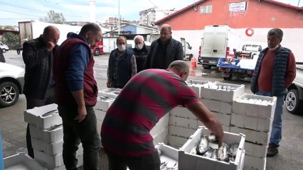 Büyük tekneler hamsi için Hopa açıklarına gidince palamut kıyı balıkçılarına kaldı