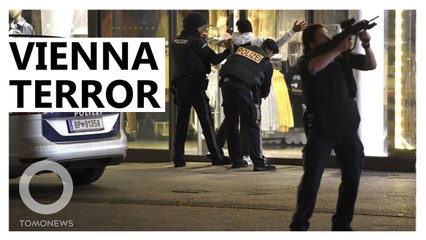 Islamic Terrorist Guns Down Dozens in Vienna, Austria