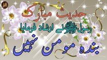 Banda Momin Nahi | Sunnat e nabvi | Deen Islam | Hadees