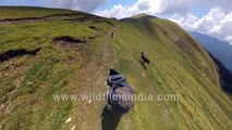 Walking up an alpine meadow in the Himalaya: Bedini Bugyal trek en route Roopkund in Uttarakhand