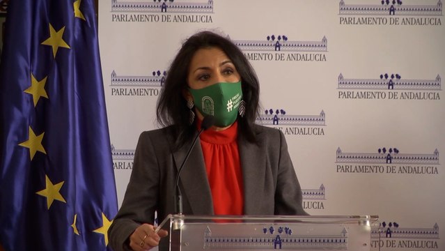 Bosquet apela a la responsabilidad para hacer aportaciones a los Presupuestos