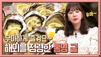 해외 오이스터 바를 점령한 굴은 바로 ★대한민국 통영 굴★