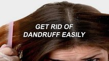 Get Rid of Dandruff Easily by Zubaida Tariq | Health Tips