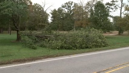 Zeta causes more than 400000 power outages across North Carolina as