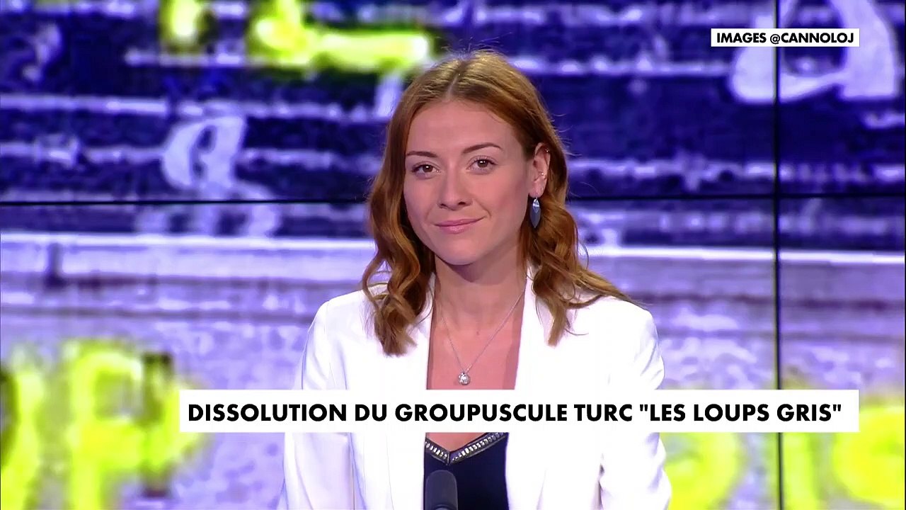 Le groupe ultra-nationaliste turc Les Loups Gris, impliqué dans de récentes actions violentes contre la communauté arménienne en France, a été dissous lors du conseil des ministres