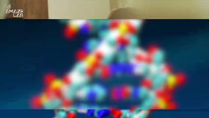 ‘Landmark’ Study Points to Particular Genetic Markers That Determine Height