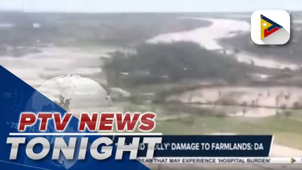Rice supply stable amid 'Rolly' damage to farmlands: DA