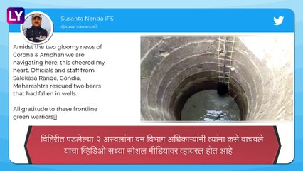 Maharashtra Gondia Salekasa: विहिरीत पडलेल्या अस्वलांना असे मिळाले जीवदान; पाहा थक्क करणारा व्हिडिओ