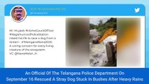 Telangana Cop Risks Life, Rescues Dog Stuck In Bushes After Heavy Rains; Netizens Praise The Brave Official As The Video Goes Viral