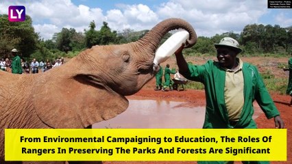 World Ranger Day 2020: Know History and Significance of the Day Dedicated to Park Rangers