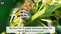 Don't Step On A Bee Day 2020: Know Significance Of Day Promoting Protection Of Bees