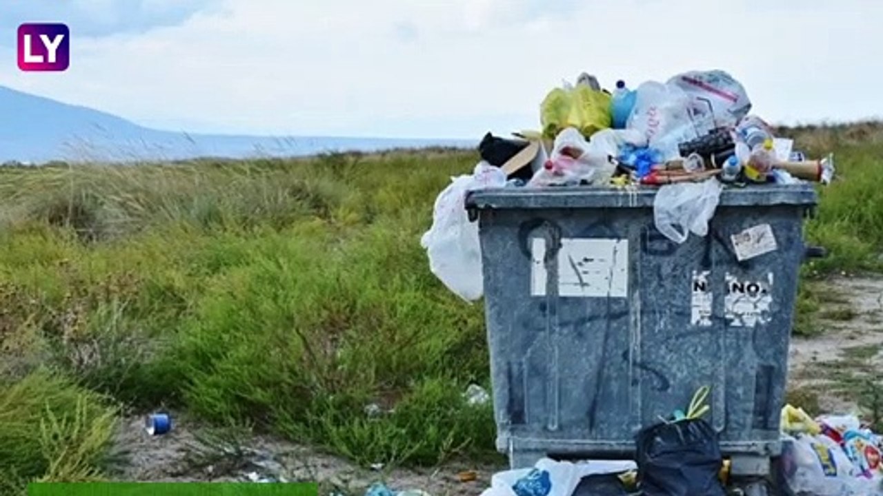 International Plastic Bag Free Day 2020: Jute To Cloth, Alternatives Of Plastic For A Greener Planet