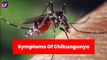 Chikungunya Symptoms: From Fever To Eye Pain, Signs Of This Mosquito-Borne Disease