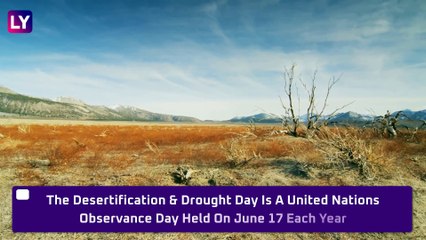World Day To Combat Desertification & Drought 2020: Theme, Significance, History Of The Global Event
