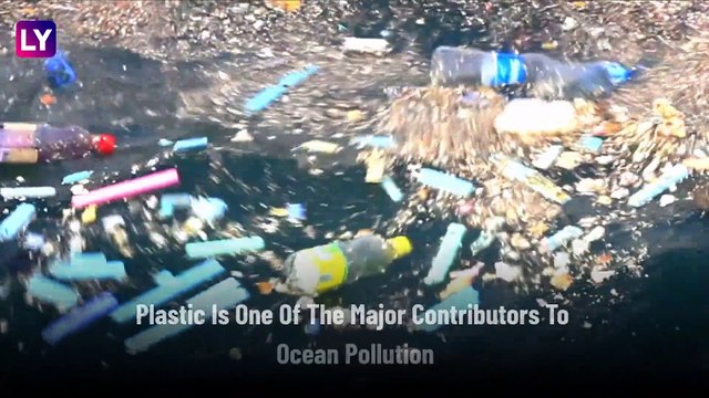 World Oceans Day 2020: Here Are 7 Ways To Contribute To Saving Oceans