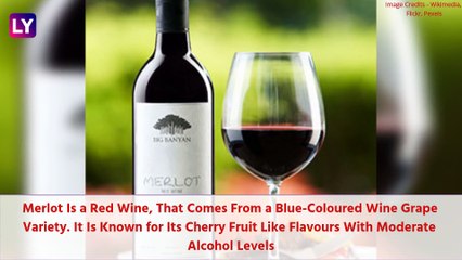 National Wine Day (US) 2020: 10 Most Popular Wines in The World