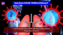 COVID-19 Attacks Kidneys, Here's How To Improve Kidney Function: Kidney Health Week In Australia