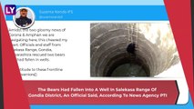 Two Bears Rescued From A Well In Maharashtra, One Climbs Ladder To Come Out; Rescue Video Wins Hearts