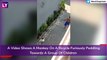 Monkey Attempts To Kidnap Toddler: Rex Chapman Tweets Video Of Primate's Bike-Borne Effort