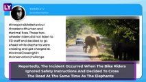 An Elephant Charges At A Bike, Forcing The Two Riders To Run In Horrifying Footage