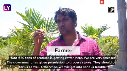India Under Lockdown: Karnataka Pineapple Farmers Face Trouble In Getting Produce To Market