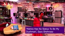 Bigg Boss 13 Episode 61 Updates | 24 Dec 2019: Shehnaaz Calls Vishal Singh 'Kutte'