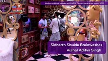 Bigg Boss 13 Episode 32 Update|13th Nov 2019: Vishal Ditches Sidharth As Well As Rashami