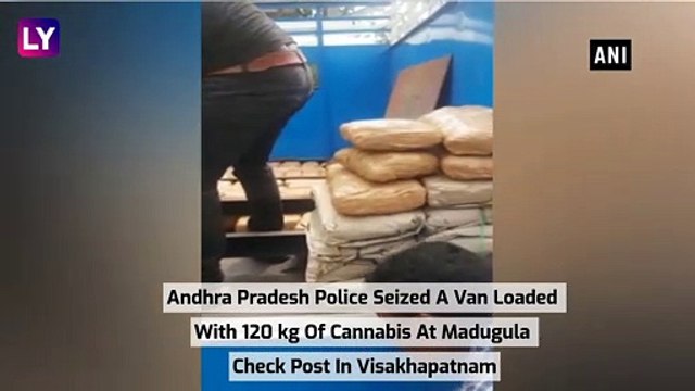 120 kg Cannabis Worth Rs 20 lakh Seized In Visakhapatnam, Accused Arrested