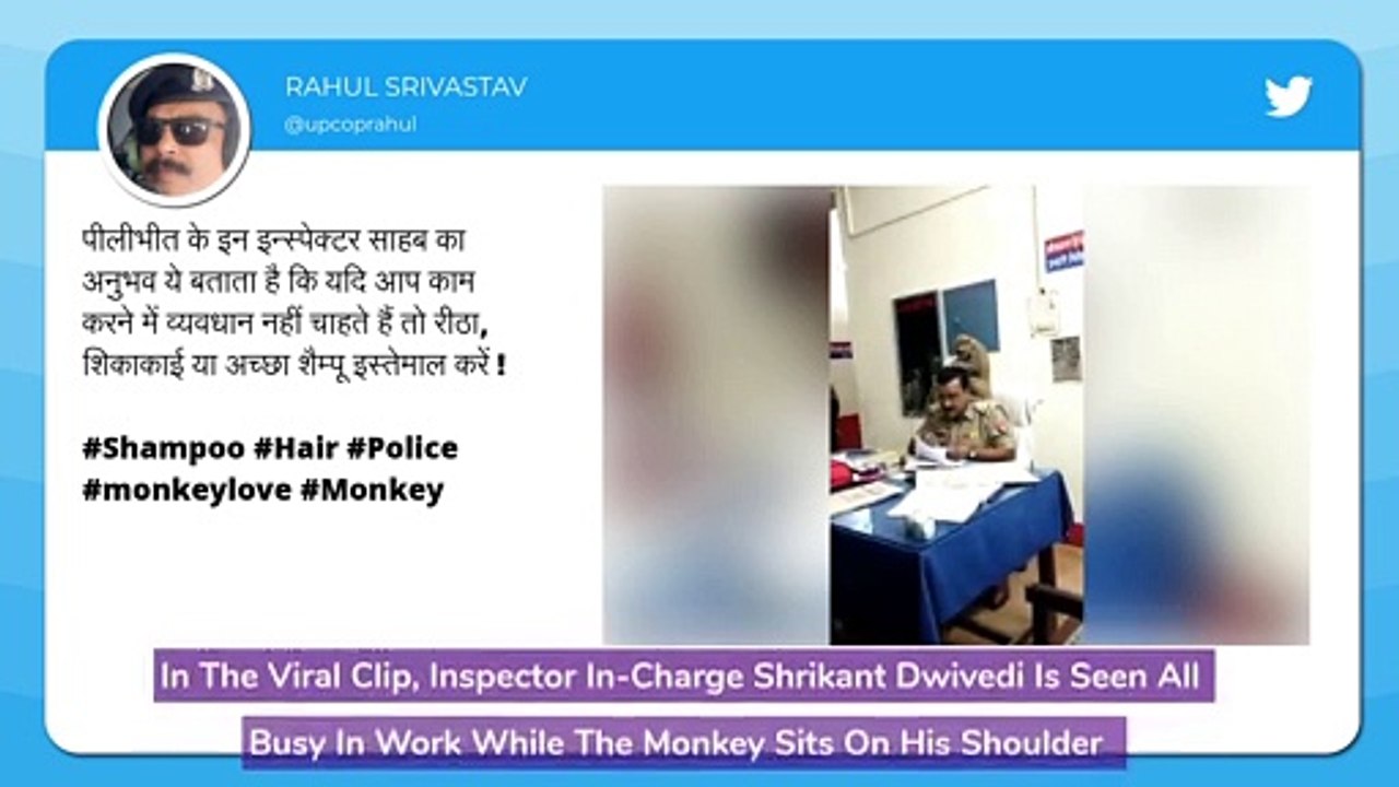 Monkey Sits On UP Cops Shoulder, Gives Head Massage, Funny Video Goes Viral