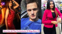 Bigg Boss 13: From Sidharth Shukla To Rashami Desai, Meet The 13 Contestants