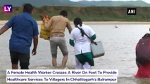 Chhattisgarh: Woman Crosses River On Foot To Provide Healthcare Services To Locals In Balrampur