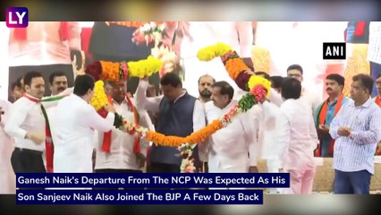 NCP Leader Ganesh Naik Joins BJP, Big Blow To The Party Ahead Of The Maharashtra Assembly Polls