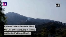 Pakistan Violates Ceasefire Along the Line of Control (LoC) in J&Ks Rajouri District