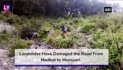 Uttarakhand: Students Cross Landslide-Affected Route to Reach Their College in Munsyari