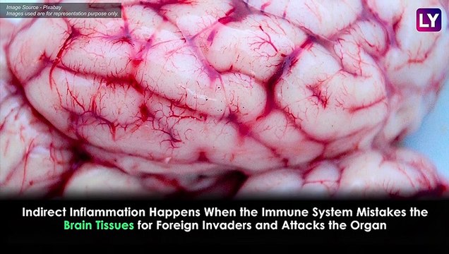 Encephalitis in Muzaffarpur, Bihar Know the Symptoms