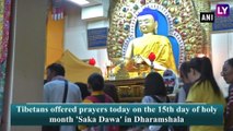 Tibetans Celebrate the Holy Month ‘Saka Dawa in Dharamshala, Himachal Pradesh