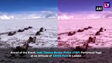 International Yoga Day 2019: ITBP Personnel Perform Yoga At 18,000 Ft in Ladakh