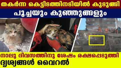 Cat and family survived from turkey earthquake | Oneindia Malayalam