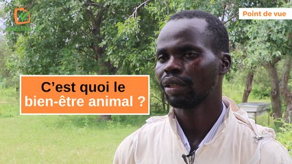 Point de vue apiculteur : C’est quoi le bien-être animal ?