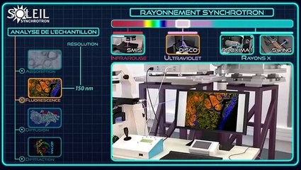 Les lumières de SOLEIL pour la biologie