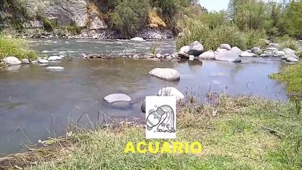 LA MUJER ACUARIO, COMO ES ELLA, PERSONAIDAD, CARACTERISTICAS